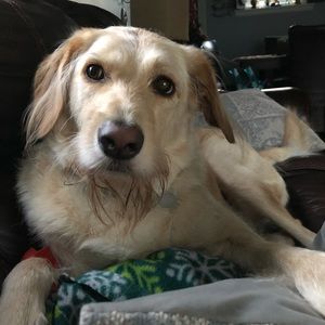 Meet your Posher, Jenn